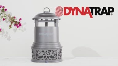 DynaTrap Indoor Flying Insect Trap with Glue Cards 