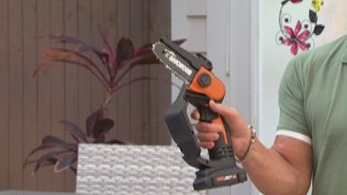 Worx 20-Volt Handheld Pruning Saw 